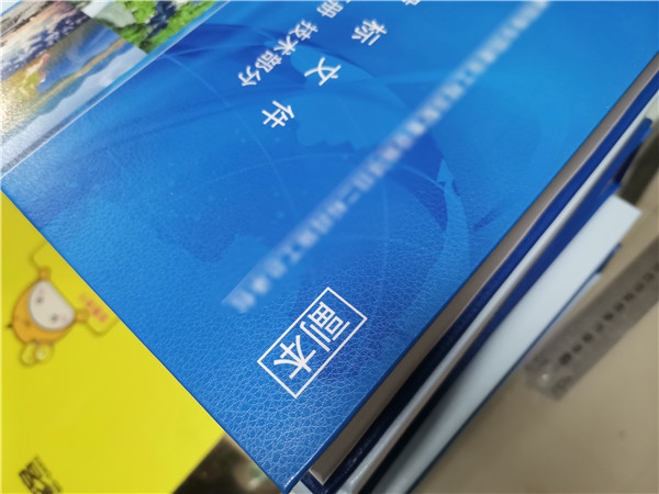 纸质版标书案例