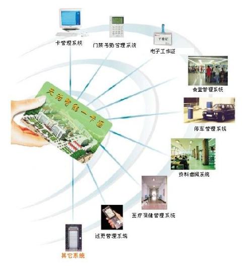 香港特马王中