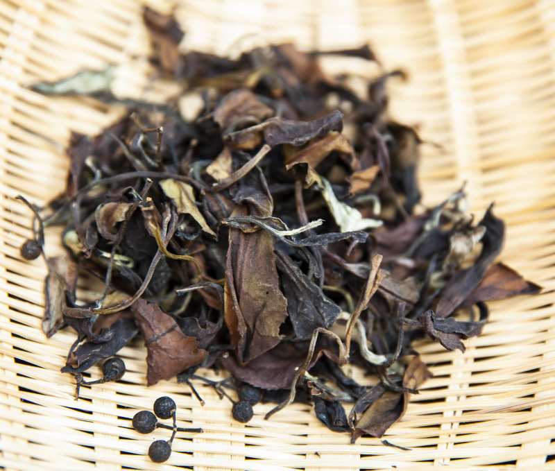 11木姜子白茶 非商业性文化推广 设计小样