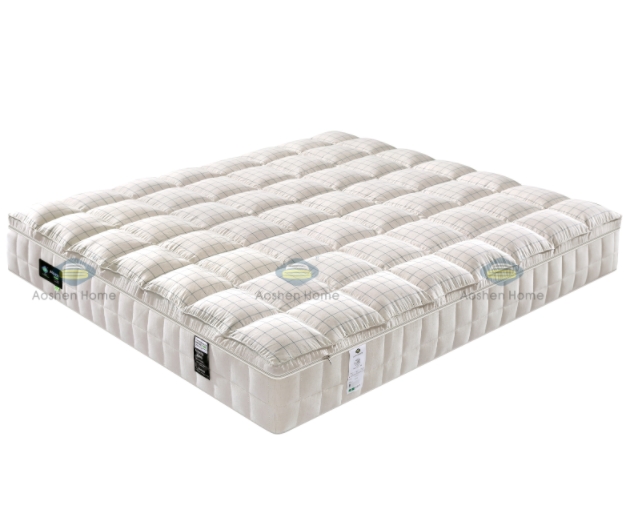 Q88 羽丝绒大豆25公分（全国统一价28800）