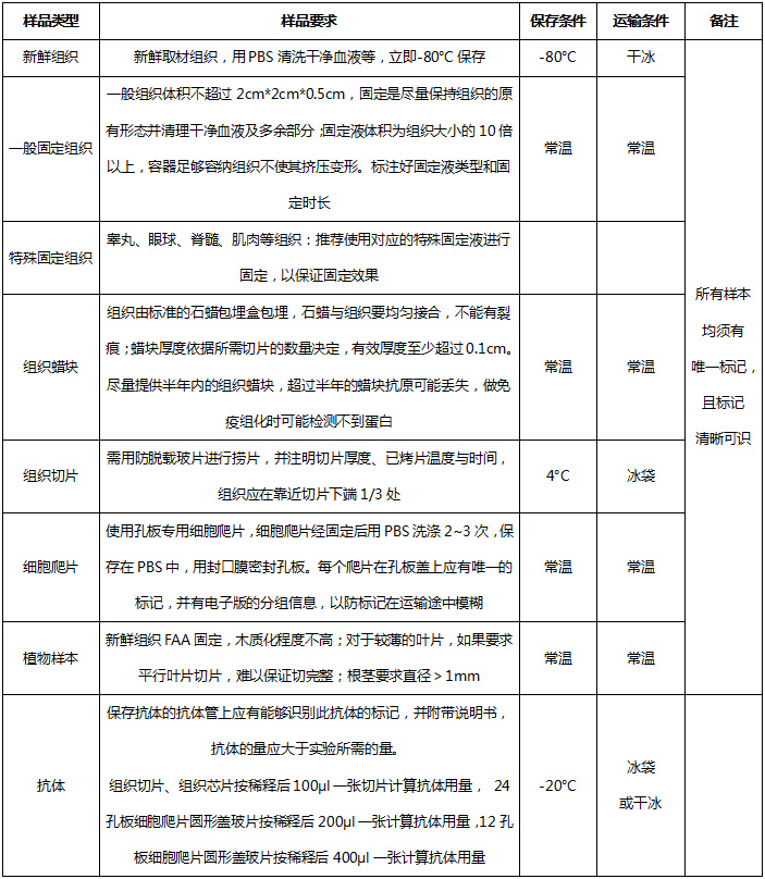 原位末端凋亡检测（Tunel）906.jpg