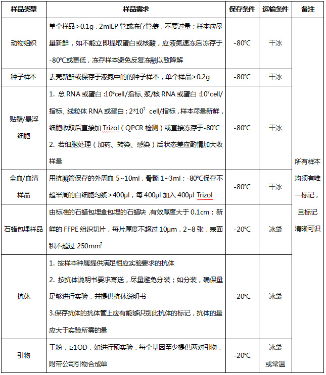 双荧光素酶实验1337.jpg