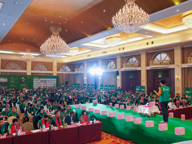 商业模式：企业成功的关键战略要素