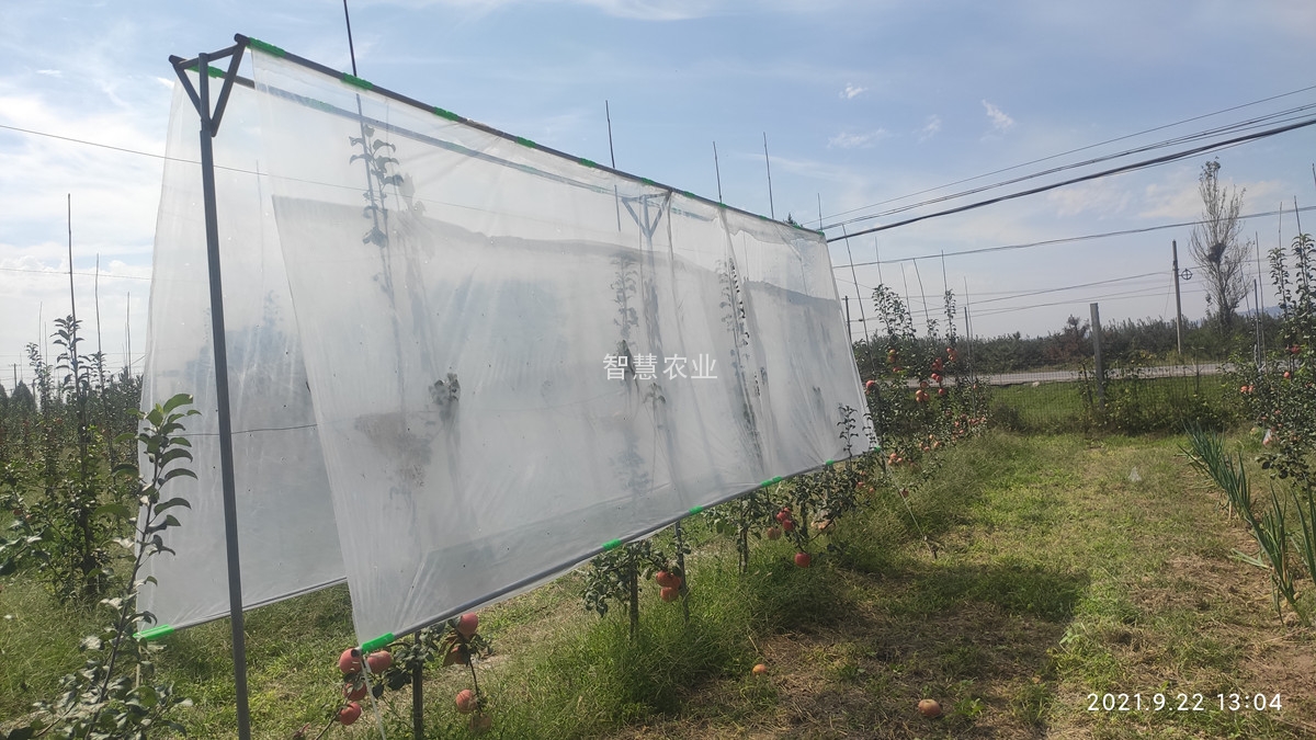 新型黑科技光基膜试验成功