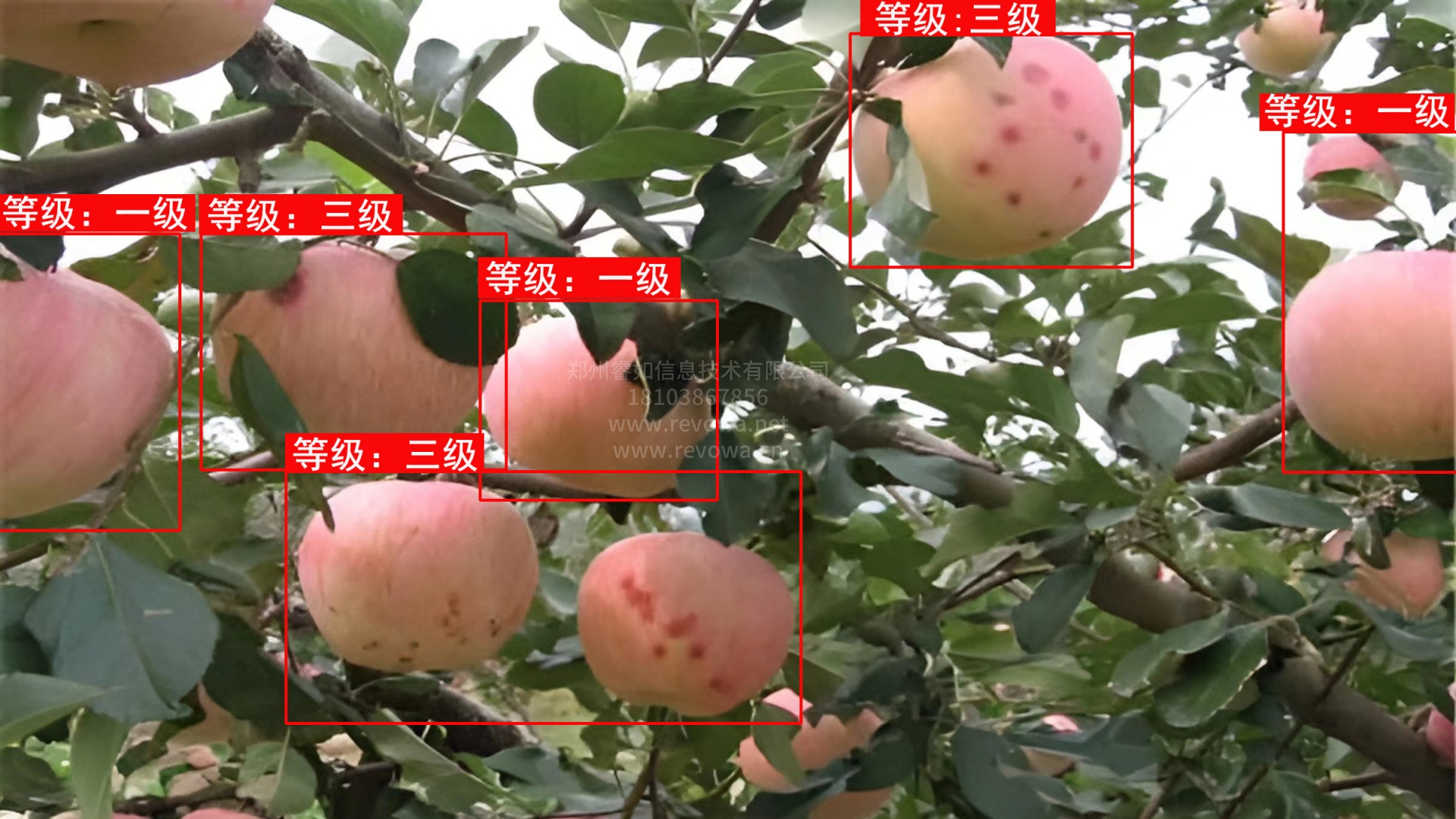 焦点图一